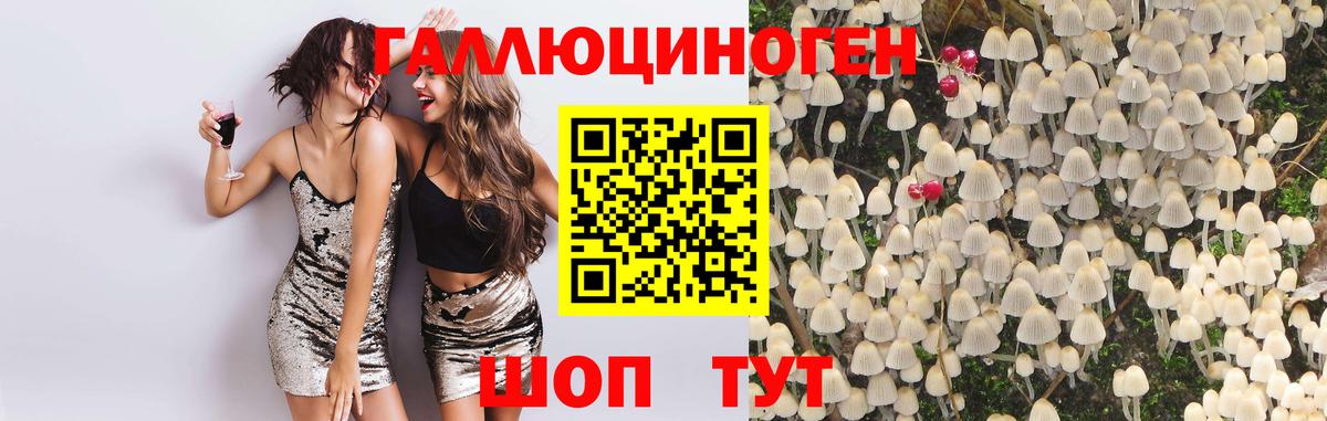Галлюциногенные грибы Magic Shrooms  Вход с VPN  купить наркотики сайты  Морозовск 